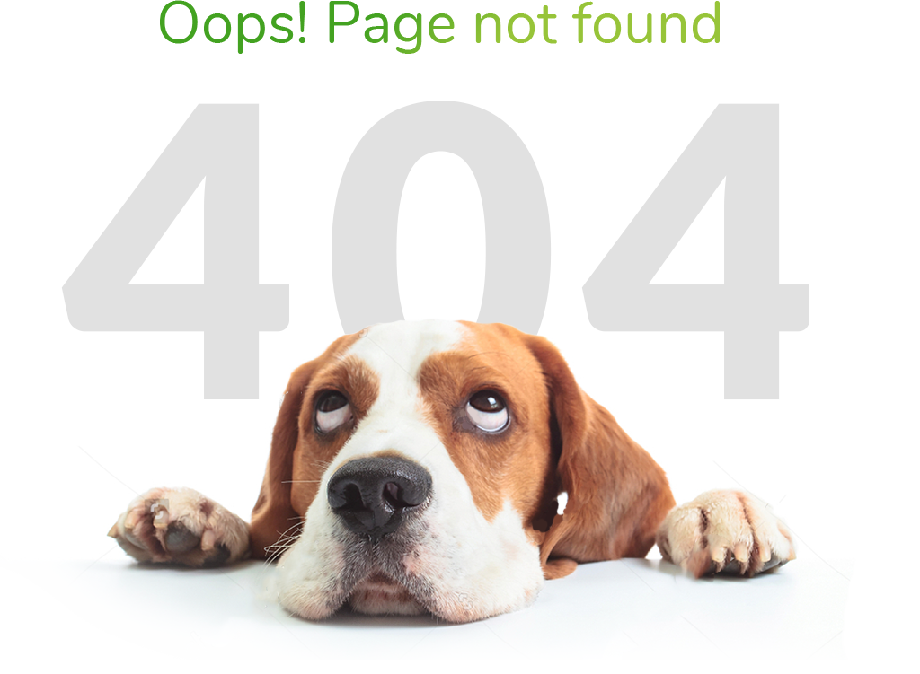 error_404